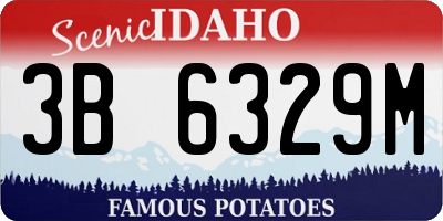 ID license plate 3B6329M