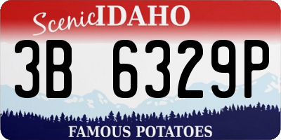 ID license plate 3B6329P