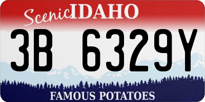 ID license plate 3B6329Y