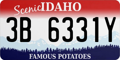 ID license plate 3B6331Y