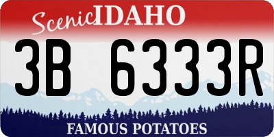 ID license plate 3B6333R