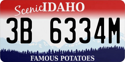 ID license plate 3B6334M