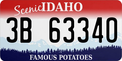 ID license plate 3B6334O