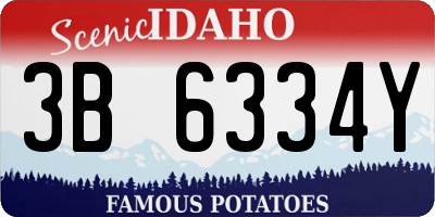 ID license plate 3B6334Y