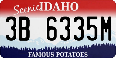 ID license plate 3B6335M