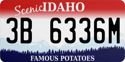 ID license plate 3B6336M
