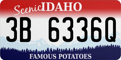 ID license plate 3B6336Q