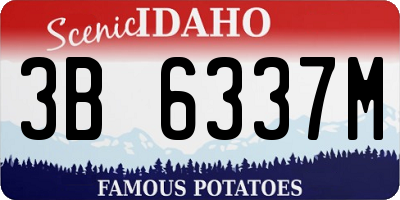 ID license plate 3B6337M