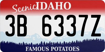 ID license plate 3B6337Z