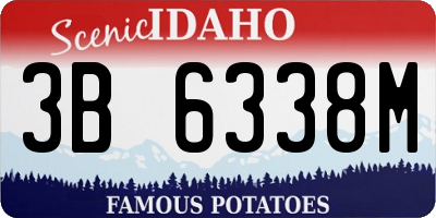 ID license plate 3B6338M