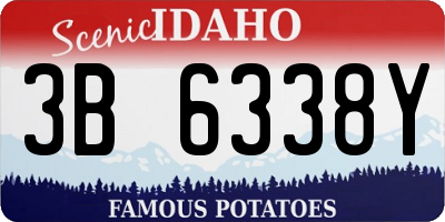 ID license plate 3B6338Y