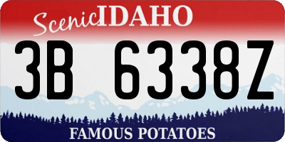 ID license plate 3B6338Z