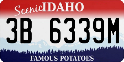 ID license plate 3B6339M