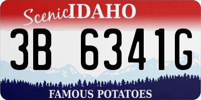ID license plate 3B6341G
