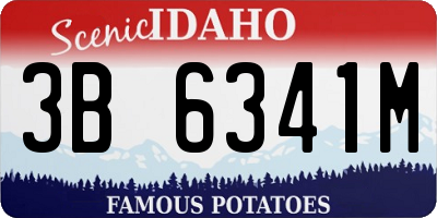 ID license plate 3B6341M