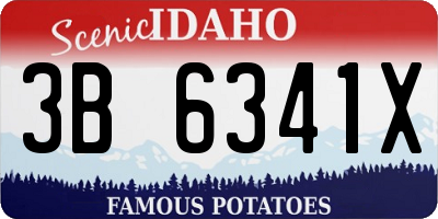 ID license plate 3B6341X