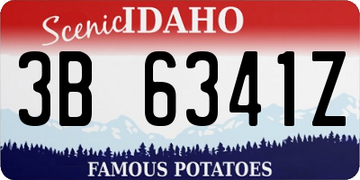 ID license plate 3B6341Z