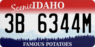 ID license plate 3B6344M