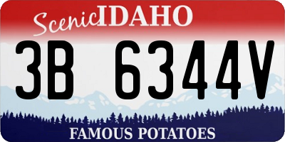 ID license plate 3B6344V