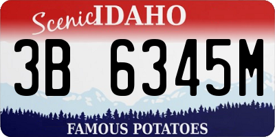 ID license plate 3B6345M
