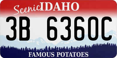 ID license plate 3B6360C