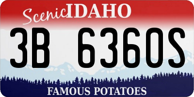 ID license plate 3B6360S
