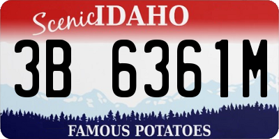 ID license plate 3B6361M