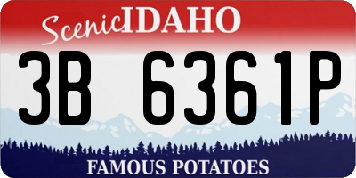 ID license plate 3B6361P