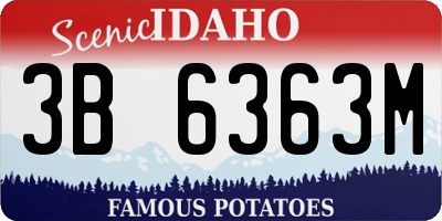 ID license plate 3B6363M