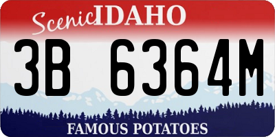 ID license plate 3B6364M