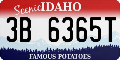 ID license plate 3B6365T
