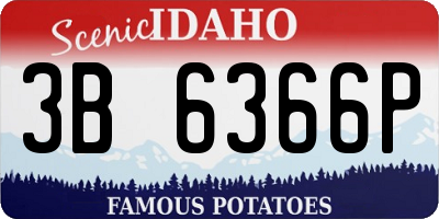 ID license plate 3B6366P