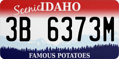 ID license plate 3B6373M