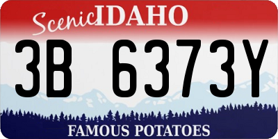 ID license plate 3B6373Y