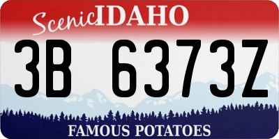 ID license plate 3B6373Z