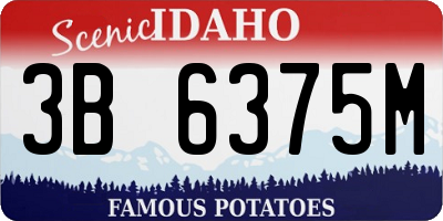 ID license plate 3B6375M