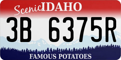 ID license plate 3B6375R