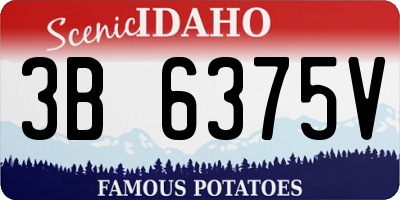 ID license plate 3B6375V