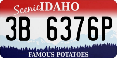 ID license plate 3B6376P
