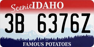 ID license plate 3B6376Z