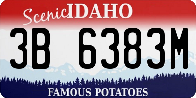 ID license plate 3B6383M