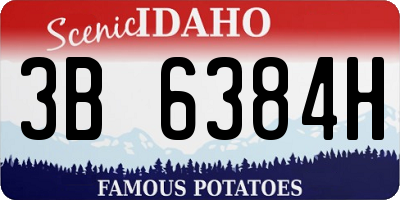 ID license plate 3B6384H