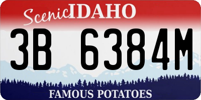 ID license plate 3B6384M