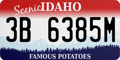 ID license plate 3B6385M