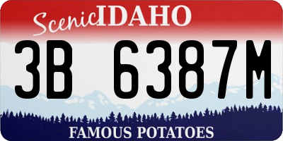 ID license plate 3B6387M