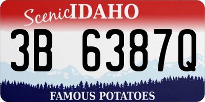 ID license plate 3B6387Q