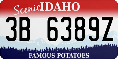ID license plate 3B6389Z