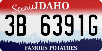 ID license plate 3B6391G