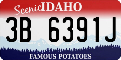 ID license plate 3B6391J