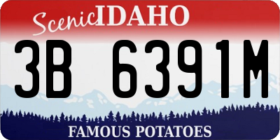 ID license plate 3B6391M